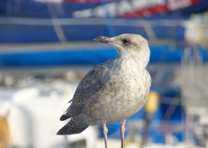 Hébergement de vacances Tennyson House Scarborough